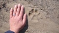 Dog footprint on the earth Footprint dog on the soil land Comparison of animal track size and hand animal track, Tracks, Footprint Royalty Free Stock Photo