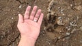 Dog footprint on the earth Footprint dog on the soil land Comparison of animal track size and hand animal track, Tracks, Footprint Royalty Free Stock Photo