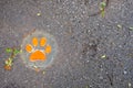 Dog Footprint step by step on the ground