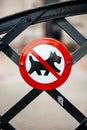 Dog forbidden sign on fence