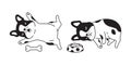 Dog french bulldog vector bone food bowl sleeping icon pet cartoon character symbol scarf illustration doodle design Royalty Free Stock Photo