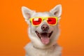 smile dog purebred funny portrait background cute animal sunglasses pet. Generative AI.