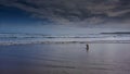 Dog friendly Caerhays BeachSt Austell on the South Coast of Cornwall Uk
