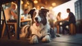 Dog friendly restaurant or city cafe