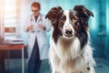 Dog In Front Of Defocused Veterinarian In Veterinary Clinic. Generative AI