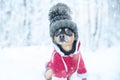 Dog in a funny knitted hat with a huge pumpon in the winter forest, a space for text, Concept warm clothes for dogs