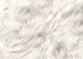 DOG FUR TEXTURE SMOOTH AND SILKY Royalty Free Stock Photo