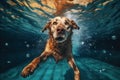 dog snorkeling funny pool swimming fun underwater puppy water vacation. Generative AI.