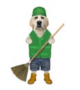 Dog with gardening besom