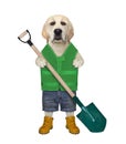 Dog with gardening shovel