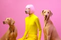 concept dog colourful funny latex art fashion pet stylish animal. Generative AI.