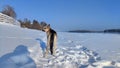 Dog German Shepherd on a big field in a winter day and white snow arround. Waiting eastern European dog veo Royalty Free Stock Photo