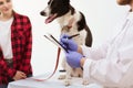 Dog getting checked at vet clinic with thir owner. Royalty Free Stock Photo