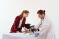 Dog getting checked at vet clinic with thir owner. Royalty Free Stock Photo