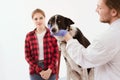 Dog getting checked at vet clinic with thir owner. Royalty Free Stock Photo