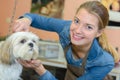 Dog getting hair cut in grooming salon