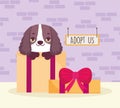 dog on gift box adoption