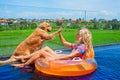 Dog give high five to happy girl swimming in pool Royalty Free Stock Photo