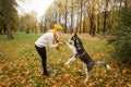 Dog gives the paw a woman Royalty Free Stock Photo