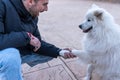 Dog giving paw to crop male owner Royalty Free Stock Photo