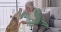 Dog giving paw to owner for a handshake at home. Mature woman teaching her clever pet tricks and rewarding treats for