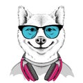 Dog in glasses and headphones. Vector illustration.