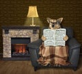 Dog reads a newspaper near a fireplace Royalty Free Stock Photo