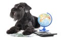 Dog with a globe