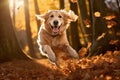 Dog, golden retriever jumping through autumn leaves in autumnal sunlight. Ai generative Royalty Free Stock Photo