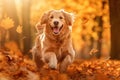 Dog, golden retriever jumping through autumn leaves in autumnal sunlight. Ai generative Royalty Free Stock Photo