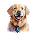 Dog Golden Retriever watercolor painting. Adorable puppy animal isolated on white background. Realistic cute dog portrait vector Royalty Free Stock Photo