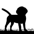 Dog On The Grass Black Silhouette