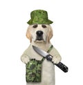 Dog in green hat holds penknife