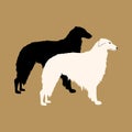 dog Greyhound vector illustration style Flat black
