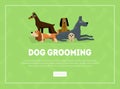 Dog Grooming Banner, Landing Page Template, Pet Grooming Service Salon Vector Illustration