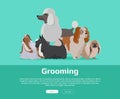 Dog Grooming Banner. Long Haired Dog Breeds