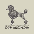 Dog grooming card