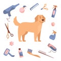 Dog grooming in Cartoon style. Golden Retriever and care products, shampoos, wire cutters, combs, scissors. Vector Royalty Free Stock Photo