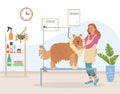 Dog Grooming Concept