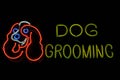 Dog Grooming Neon Sign Royalty Free Stock Photo