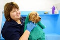 A dog grooming salon. A skilled female groomer washes a cute terrier with shampoo and wipes it with a towel. Pet care in a Royalty Free Stock Photo