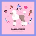 Dog grooming service salon banner or card mockup flat vector illustration.