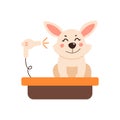 Dog grooming. Vector illustration in a simple style on a white background