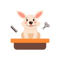 Dog grooming. Vector illustration in a simple style on a white background