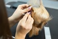 Dog grooming - yorkshire terrier getting ears cleaned by woman. Royalty Free Stock Photo