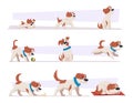 Dog growth stages. Cartoon domestic animal puppy life progress pictures happy active puppy and tired old dog exact