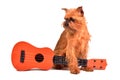Dog with guitar Royalty Free Stock Photo