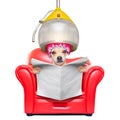 Dog at the hairdressers, grooming Royalty Free Stock Photo