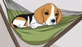 A dog in a hammock