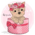Dog Hand drawn small, cute puppy girl in pink box. Vector illustration.
